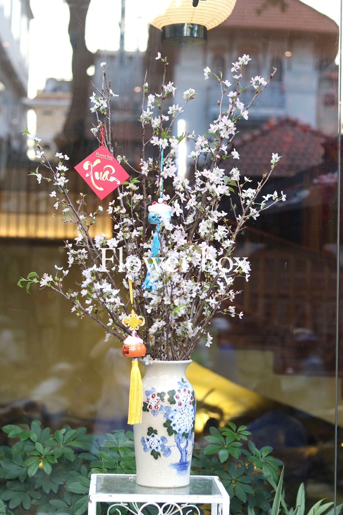 BÌNH HOA TẾT – FBVT15