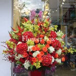 BÌNH HOA TẾT – FBVT02