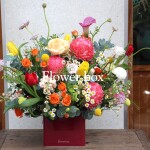 Hộp Hoa Chúc Mừng 08-03 FBQN20