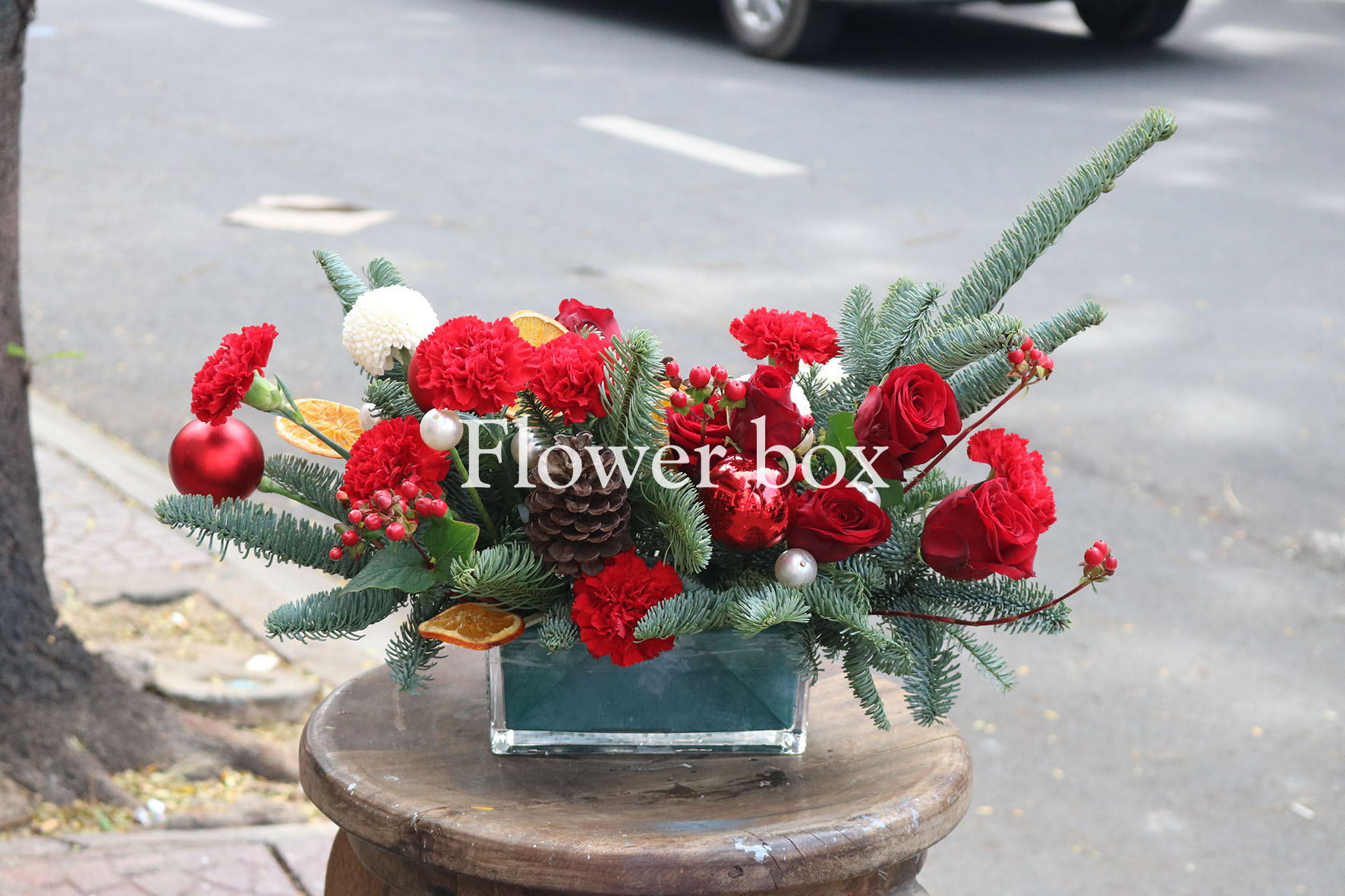 Bình Hoa Giáng Sinh -Christmas Decor- FBEV 028