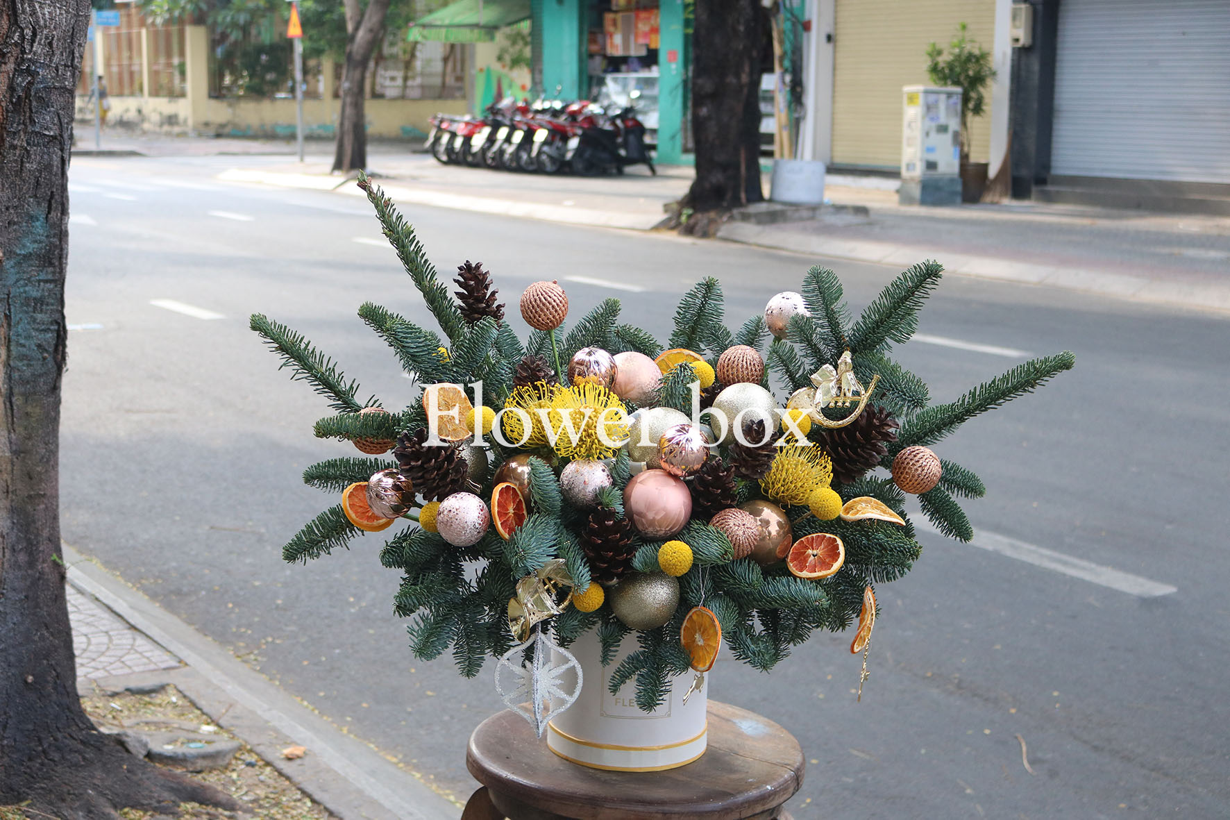 Hoa Giáng Sinh - Christmas Decor - FBEV 029