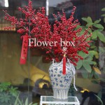 Bình Hoa Tết - FBVA 087