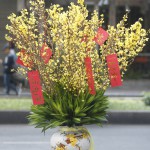 Bình Hoa Tết - FBVA 090