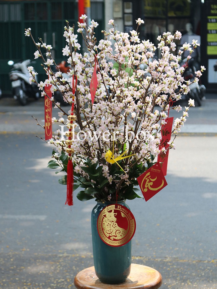Bình Hoa Tết - FBVA 096
