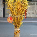 Bình Hoa Tết - FBVA 097