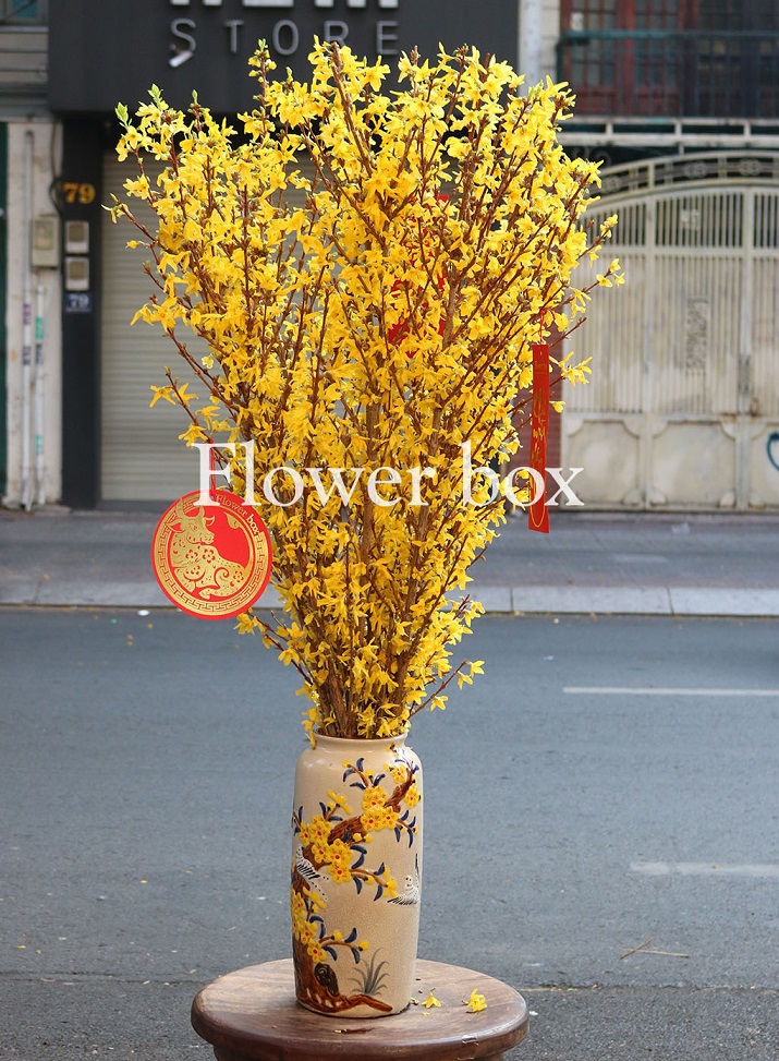 Bình Hoa Tết - FBVA 097