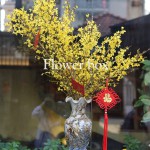 Bình hoa chúc mừng - FBVA 001