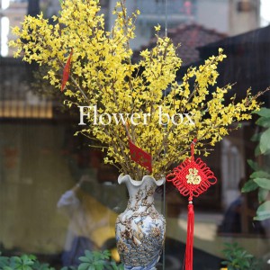 Bình hoa chúc mừng - FBVA 001