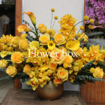 Bình hoa chúc mừng - FBVA 051