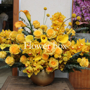 Bình hoa chúc mừng - FBVA 051