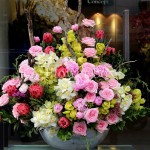 Bình hoa chúc mừng - FBVA 058