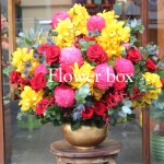 Bình hoa chúc mừng - FBVA 081