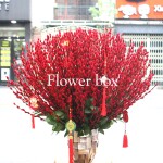 Bình Hoa Tết - FBVA 092