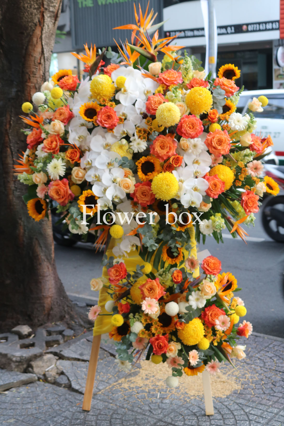 Kệ hoa chúc mừng - CFPE 002