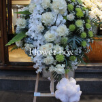 Kệ hoa chia buồn - CFPE 011