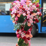 Kệ hoa chúc mừng - CFPE 012