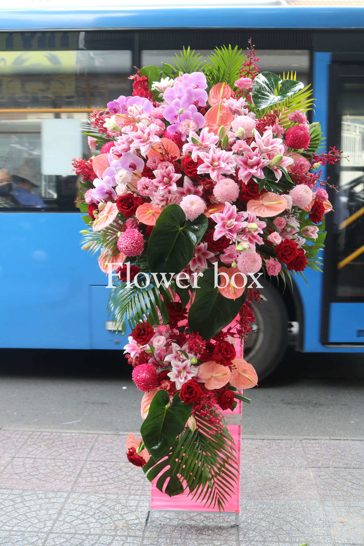 Kệ hoa chúc mừng - CFPE 012