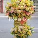 Kệ hoa chúc mừng - CFPE 026