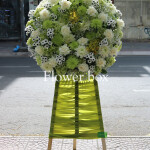 Kệ hoa chia buồn - CFPE 047