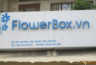 ĐƠN VỊ SỬ DỤNG TRÁI PHÉP NHÃN HIỆU FLOWER BOX BỊ XỬ LÝ.