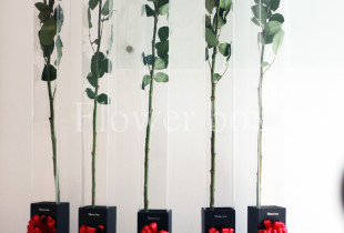 HOA HỒNG 1,6M HÚT KHÁCH SÀI GÒN TẠI FLOWER BOX