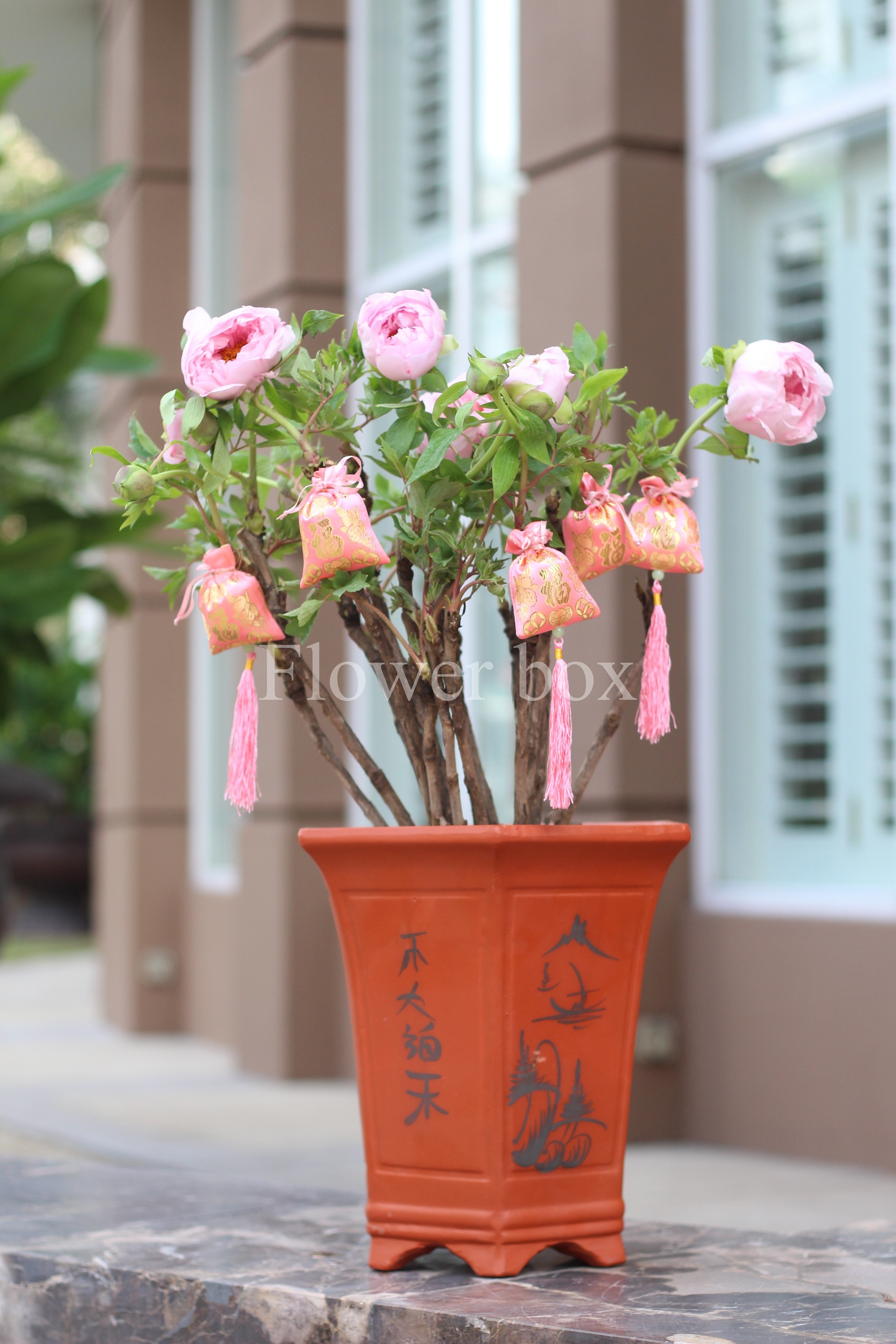 Mẫu Đơn Chậu - FBFP 002