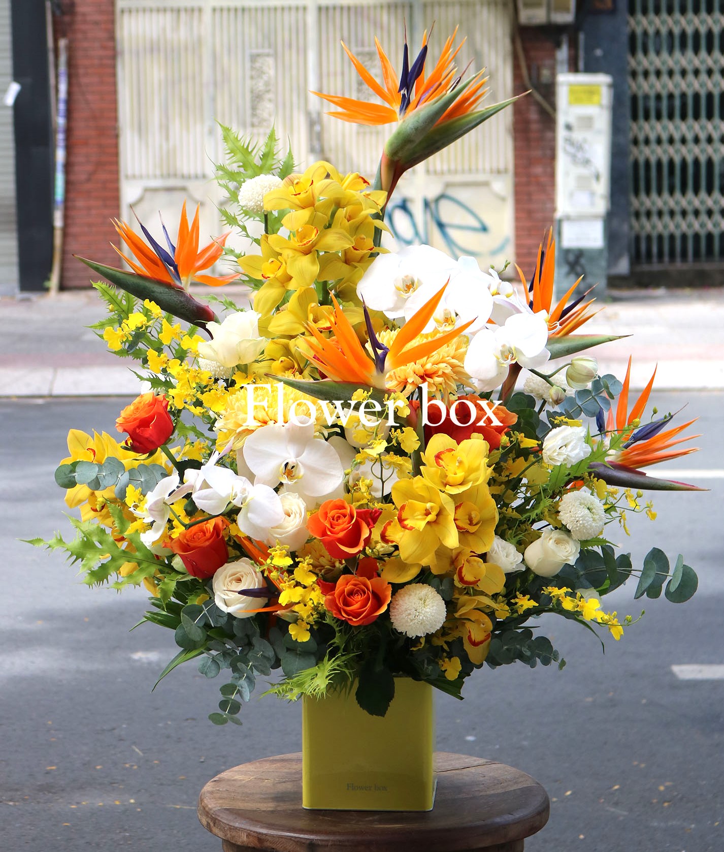 Hộp Thiếc Hoa - FBTB 048