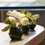 Event Khai Trương Nhà Hàng - FBEV 020