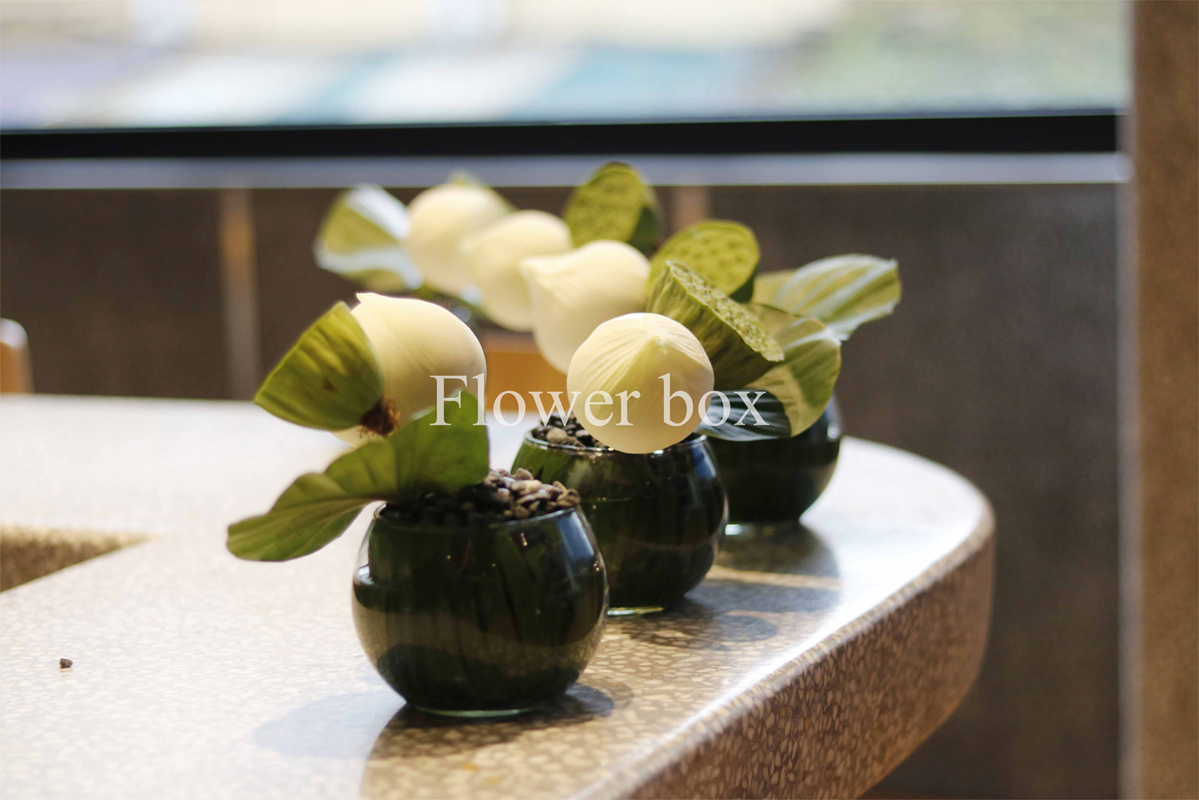 Event Khai Trương Nhà Hàng - FBEV 020