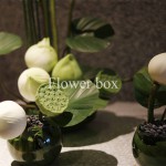 Event Khai Trương Nhà Hàng - FBEV 020