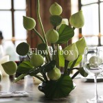 Event Khai Trương Nhà Hàng - FBEV 020