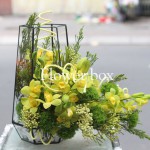 Hộp kính hoa - FBTB 059