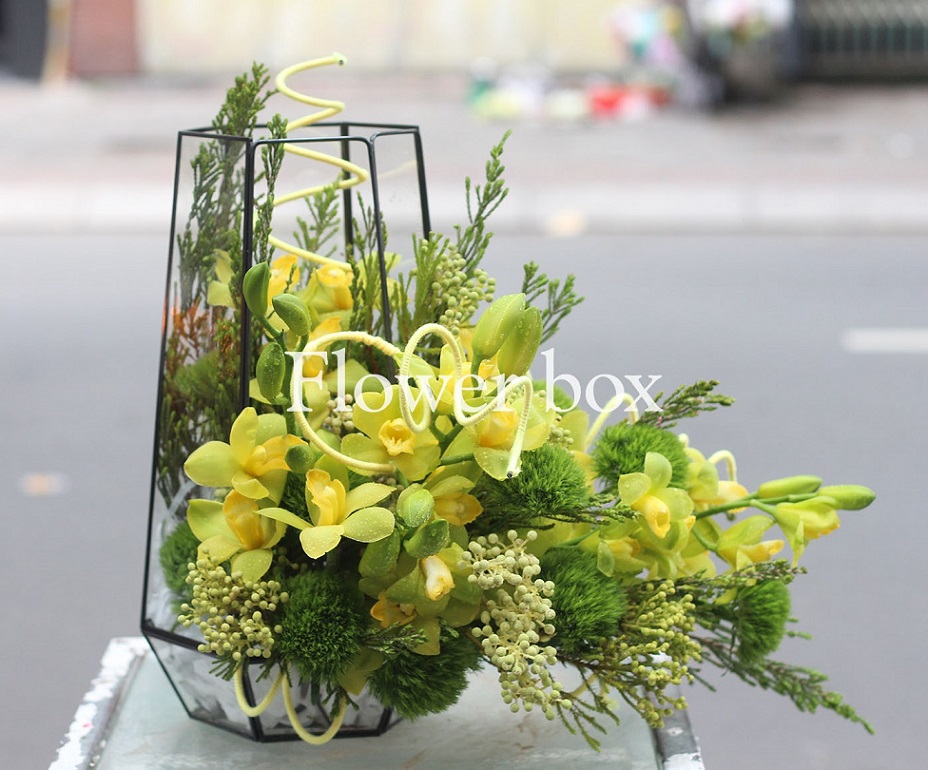 Hộp kính hoa - FBTB 059