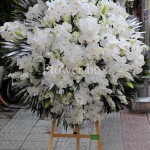 Kệ hoa chia buồn - CFPE 005