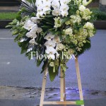 Kệ hoa chia buồn - CFPE 021