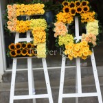 Kệ hoa chúc mừng - CFPE 018