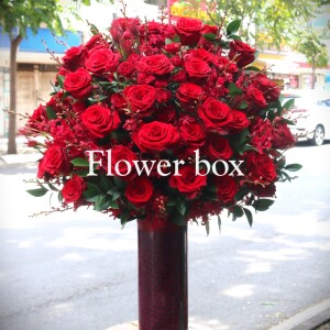 Bình hoa chúc mừng - FBVA 004