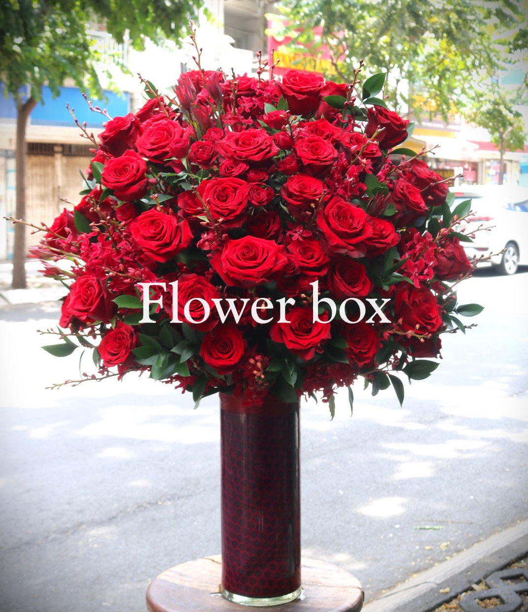 Bình hoa chúc mừng - FBVA 004