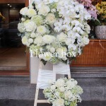 Kệ hoa chia buồn – CFPE 049