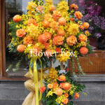 Kệ hoa chúc mừng - CFPE 004