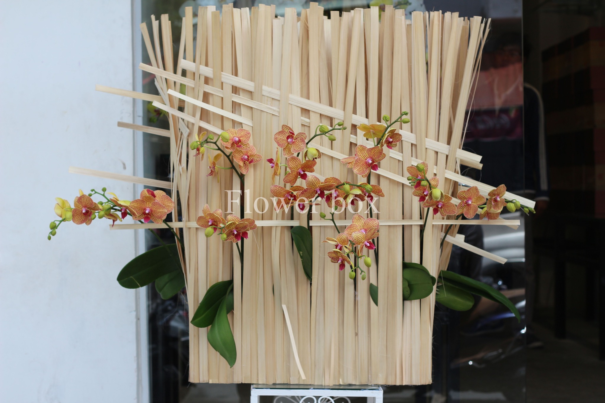 Lũa Lan Tết Sang Trọng - FBTC04