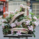 Lũa Lan Tết Sang Trọng - FBTC06