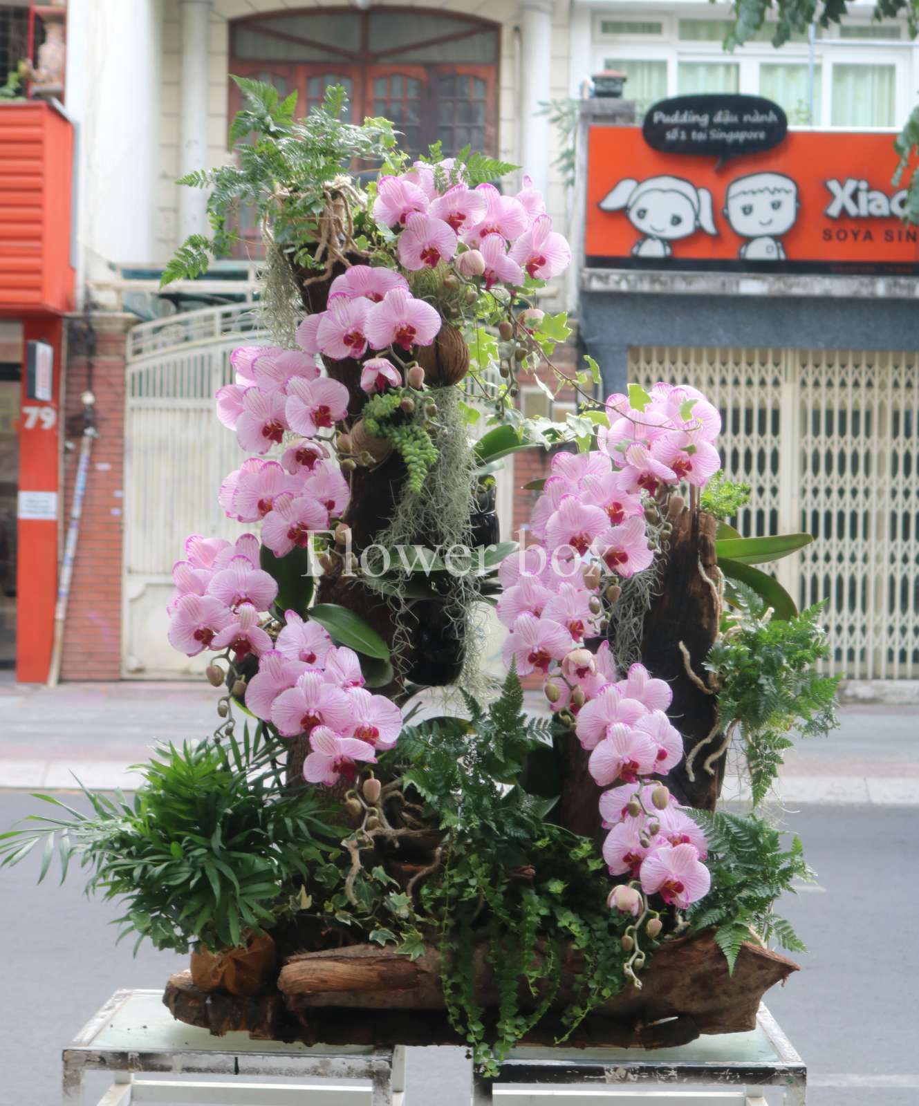 Lũa Lan Tết Sang Trọng - FBTC10