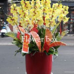 Chậu Lan Tết 15 cành - FBOR 066