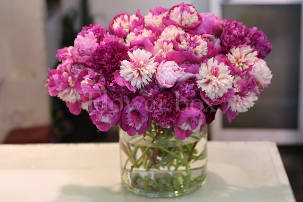 MAY2014-SHO-49-1024x682