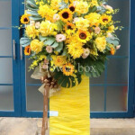 KỆ HOA NGÀY BẾ GIẢNG FBBG011