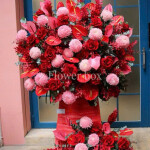 KỆ HOA NGÀY BẾ GIẢNG FBBG012